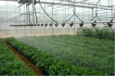现代化新型农业的4大种植模式,13种栽培方式,你与哪一款更配?_财经_网